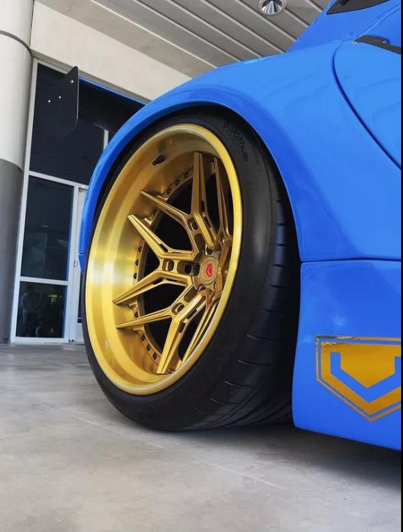 vossen 5.jpg